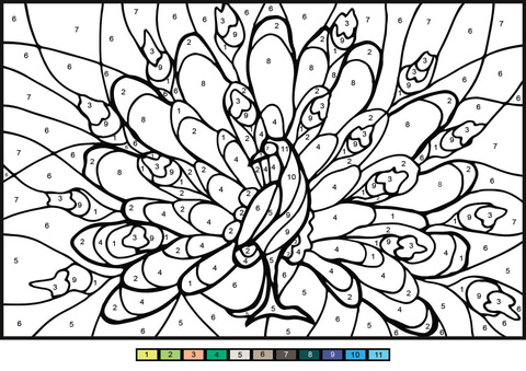 Peacock Color By Number Coloring Page